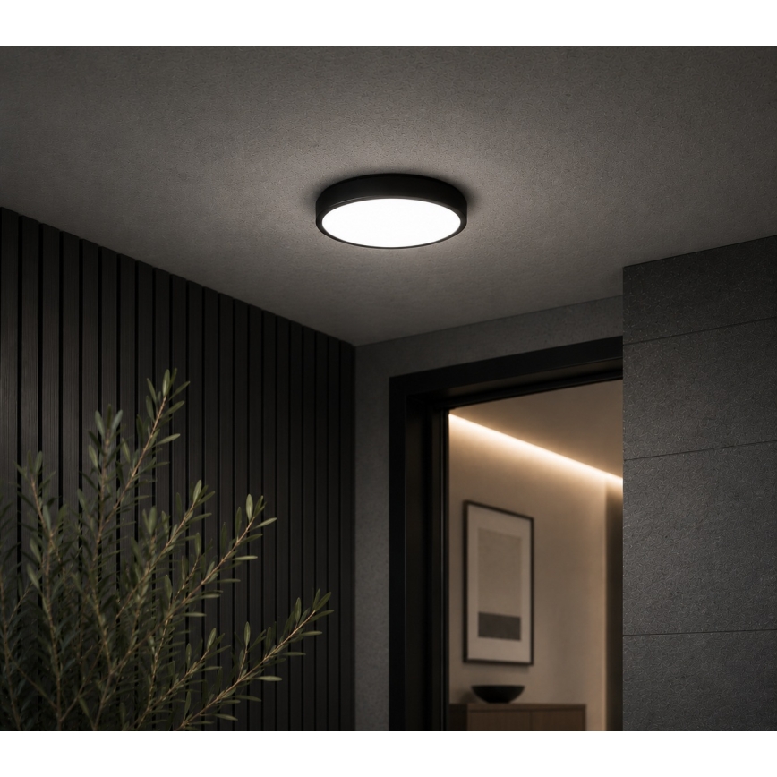 BRILAGI - LED plafonsko svetlo za kupatilo ZENNA LED/12W/230V prečnik 25 cm IP44 crna