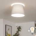 Brilagi - LED površinski montiran luster CERIA 1xE27/40W/230V, prečnik 30 cm, siva