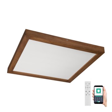 Brilagi - LED prigušiva kupatilska plafonska lampa WOODY FRAME LED/50W/230V hrast-trešnja 60x60 cm 3000-6000K IP44 + daljinski upravljač