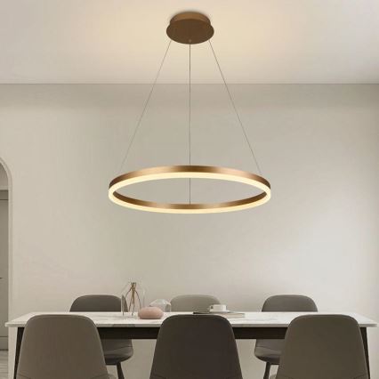 Brilagi - LED prigušiva luster na sajli CIRCLE LED/42W/230V 3000-6500K prečnik 60 cm + daljinski upravljač