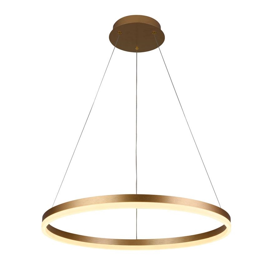Brilagi - LED prigušiva luster na sajli CIRCLE LED/42W/230V 3000-6500K prečnik 60 cm + daljinski upravljač