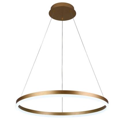 Brilagi - LED prigušiva luster na sajli CIRCLE LED/42W/230V 3000-6500K prečnik 60 cm + daljinski upravljač