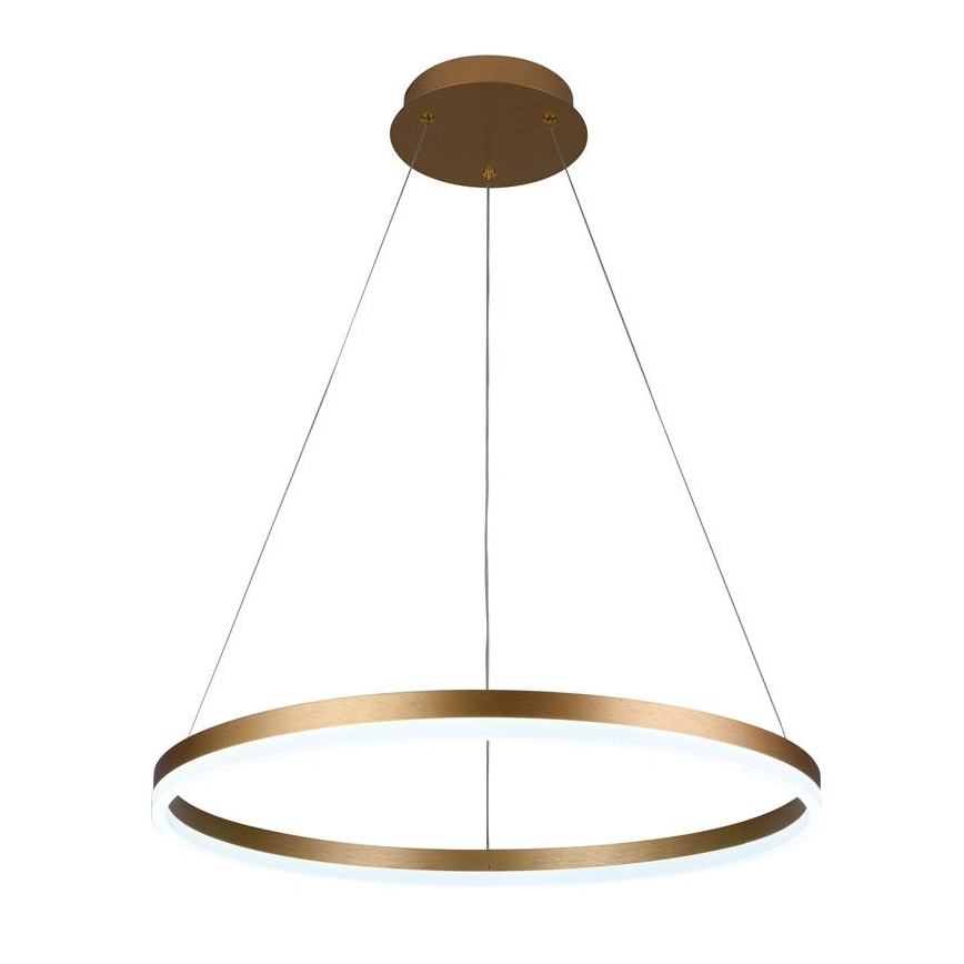 Brilagi - LED prigušiva luster na sajli CIRCLE LED/42W/230V 3000-6500K prečnik 60 cm + daljinski upravljač