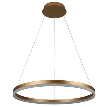 Brilagi - LED prigušiva luster na sajli CIRCLE LED/42W/230V 3000-6500K prečnik 60 cm + daljinski upravljač