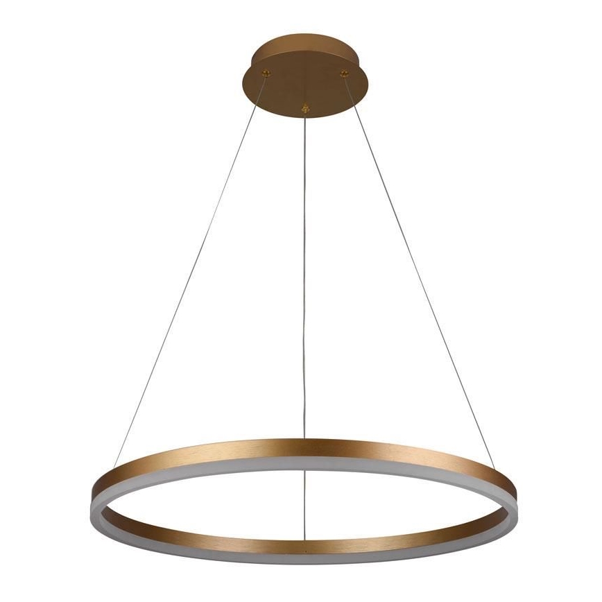 Brilagi - LED prigušiva luster na sajli CIRCLE LED/42W/230V 3000-6500K prečnik 60 cm + daljinski upravljač