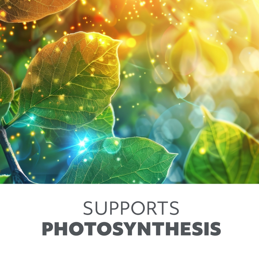 Brilagi - prigušiva fleksibilna LED stona lampa za uzgoj biljaka VITABLOOM 3xLED/10W/230V crna