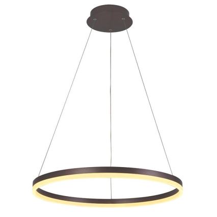 Brilagi - LED prigušiva luster na sajli CIRCLE LED/42W/230V 3000-6500K prečnik 60 cm braon + daljinski upravljač