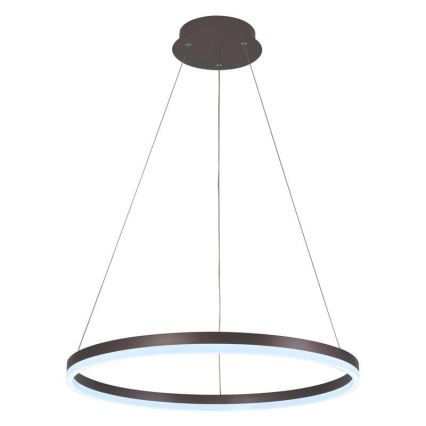 Brilagi - LED prigušiva luster na sajli CIRCLE LED/42W/230V 3000-6500K prečnik 60 cm braon + daljinski upravljač