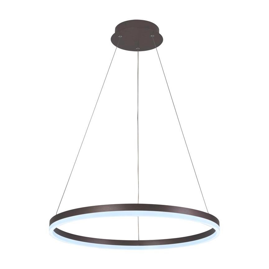 Brilagi - LED prigušiva luster na sajli CIRCLE LED/42W/230V 3000-6500K prečnik 60 cm braon + daljinski upravljač