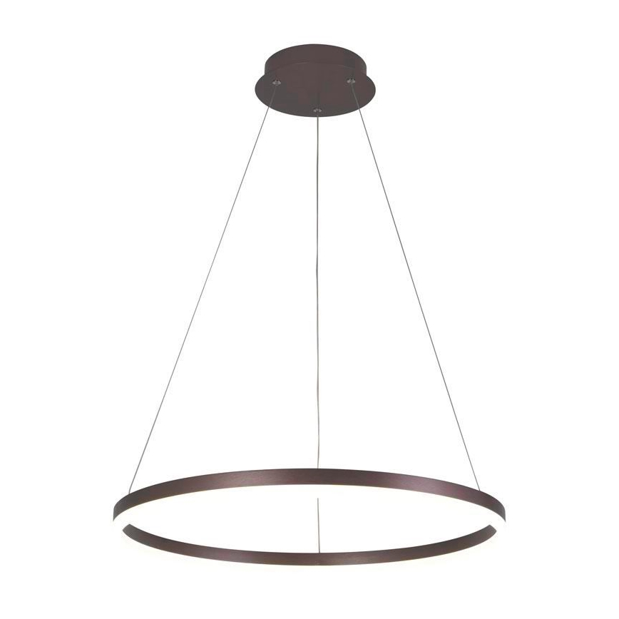 Brilagi - LED prigušiva luster na sajli CIRCLE LED/42W/230V 3000-6500K prečnik 60 cm braon + daljinski upravljač