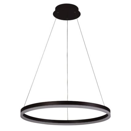 Brilagi - LED prigušiva viseća svetiljka na sajli CIRCLE LED/42W/230V 3000-6500K prečnik 60 cm + daljinski upravljač