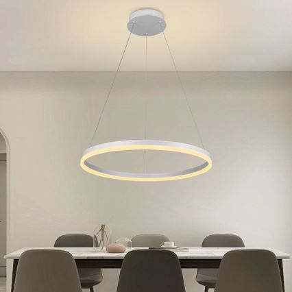 Brilagi - LED prigušiva luster na sajli CIRCLE LED/42W/230V 3000-6500K preč. 60 cm + daljinski upravljač