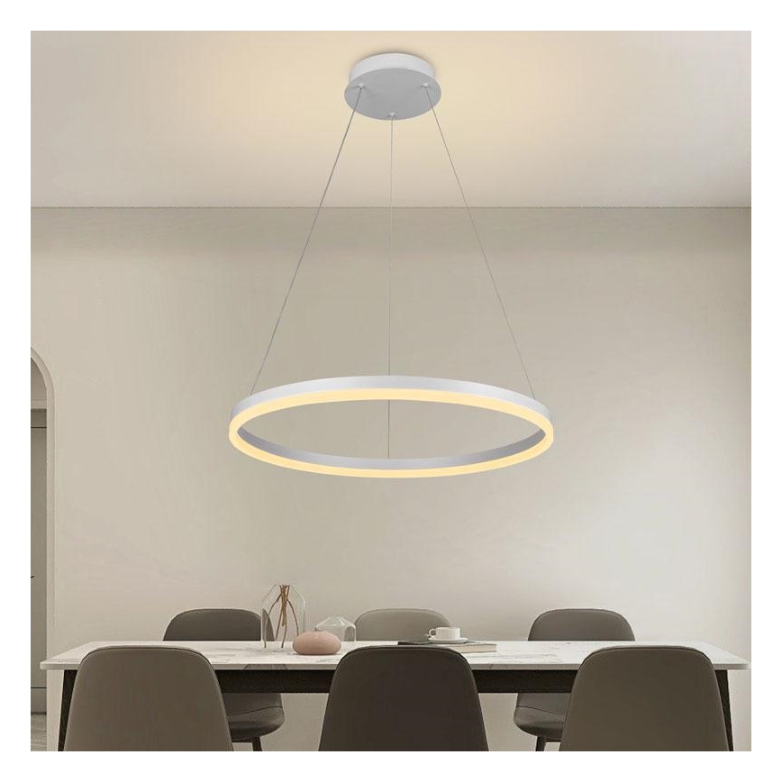 Brilagi - LED prigušiva luster na sajli CIRCLE LED/42W/230V 3000-6500K preč. 60 cm + daljinski upravljač