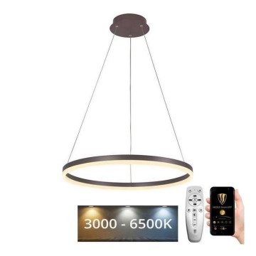 Brilagi - LED prigušiva luster na sajli CIRCLE LED/42W/230V 3000-6500K prečnik 60 cm braon + daljinski upravljač