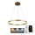 Brilagi - LED prigušiva luster na sajli CIRCLE LED/42W/230V 3000-6500K prečnik 60 cm + daljinski upravljač
