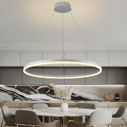 Brilagi - LED prigušiva luster na sajli CIRCLE LED/55W/230V 3000-6500K prečnik 80 cm bela + daljinski upravljač