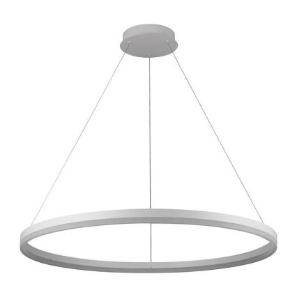 Brilagi - LED prigušiva luster na sajli CIRCLE LED/55W/230V 3000-6500K prečnik 80 cm bela + daljinski upravljač