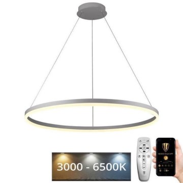 Brilagi - LED prigušiva luster na sajli CIRCLE LED/55W/230V 3000-6500K prečnik 80 cm bela + daljinski upravljač