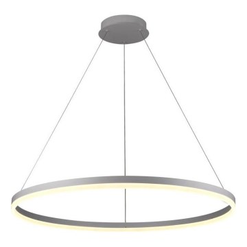 Brilagi - LED prigušiva luster na sajli CIRCLE LED/55W/230V 3000-6500K prečnik 80 cm srebrna + daljinski upravljač