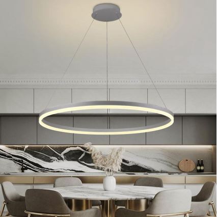 Brilagi - LED prigušiva luster na sajli CIRCLE LED/55W/230V 3000-6500K prečnik 80 cm srebrna + daljinski upravljač