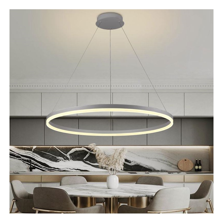 Brilagi - LED prigušiva luster na sajli CIRCLE LED/55W/230V 3000-6500K prečnik 80 cm srebrna + daljinski upravljač