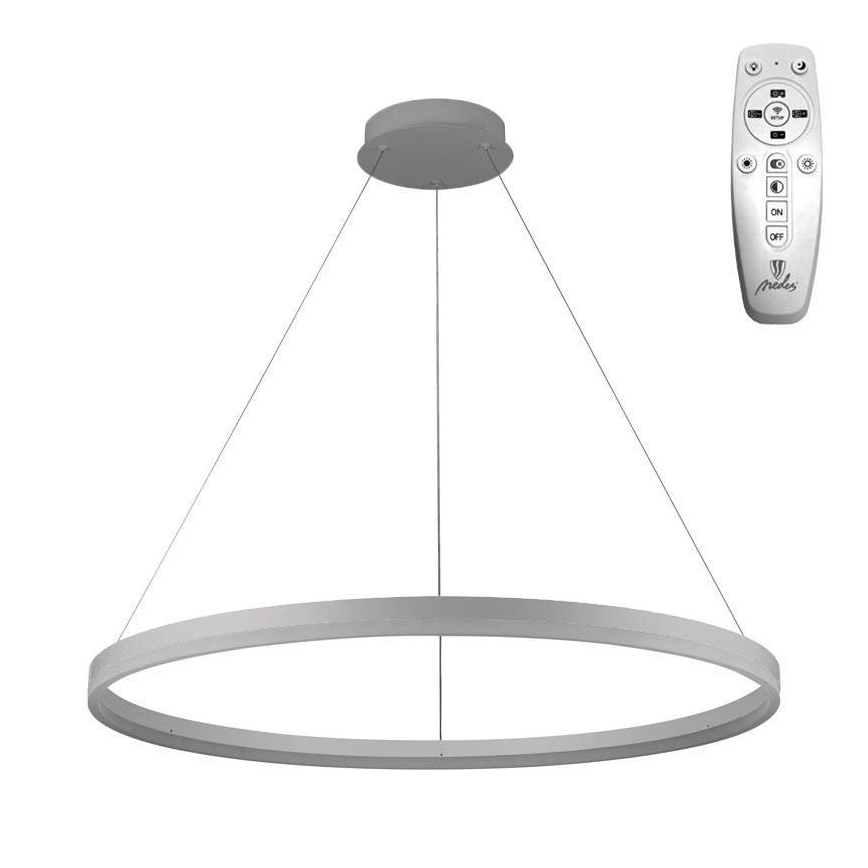 Brilagi - LED prigušiva luster na sajli CIRCLE LED/55W/230V 3000-6500K prečnik 80 cm srebrna + daljinski upravljač