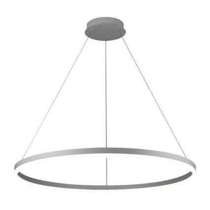 Brilagi - LED prigušiva luster na sajli CIRCLE LED/55W/230V 3000-6500K prečnik 80 cm srebrna + daljinski upravljač