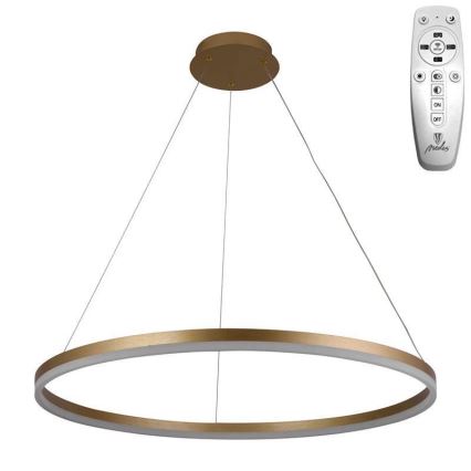 Brilagi - LED prigušiva luster na sajli CIRCLE LED/55W/230V 3000-6500K Ø 80 cm zlatna + daljinski upravljač