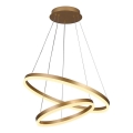 Brilagi - LED prigušiva luster na sajli CIRCLE LED/70W/230V 3000-6500K prečnik 60 cm zlatna + daljinski upravljač