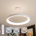 Brilagi - LED prigušiva luster na sajli FALCON II LED/108W/230V 3000-6500K pr. 80 cm bela + daljinski upravljač