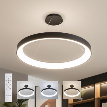 Brilagi - LED prigušiva luster na sajli FALCON II LED/108W/230V 3000-6500K prečnika 80 cm crne boje + daljinski upravljač