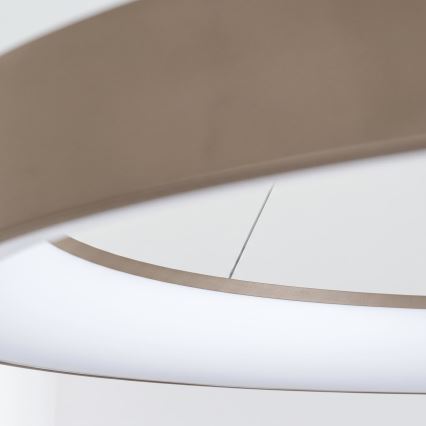 BRILAGI - LED luster sa mogućnošću prigušivanja na sajli FALCON II LED/108W/230V 3000-6500K Ø 80 cm bež + daljinski upravljač (prigušiva)
