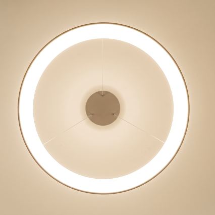 BRILAGI - LED luster sa mogućnošću prigušivanja na sajli FALCON II LED/108W/230V 3000-6500K Ø 80 cm bež + daljinski upravljač (prigušiva)