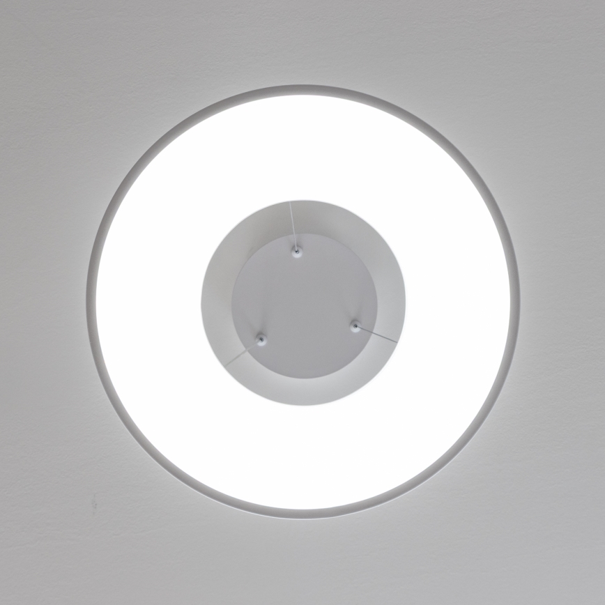 Brilagi - LED prigušiva luster na sajli FALCON II LED/67W/230V 3000-6500K prečnik 40 cm bela + daljinski upravljač