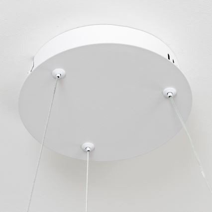 Brilagi - LED prigušiva luster na sajli FALCON II LED/67W/230V 3000-6500K prečnik 40 cm bela + daljinski upravljač