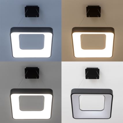 Brilagi - LED prigušiva luster na sajli FALCON II LED/80W/230V 3000-6500K 40x40 cm crna + daljinski upravljač