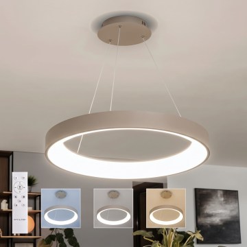 BRILAGI - LED prigušiva luster na sajli FALCON II LED/99W/230V 3000-6500K pr. 60 cm bež + daljinski upravljač