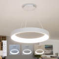 BRILAGI - LED prigušiva luster na sajli FALCON II LED/99W/230V 3000-6500K Ø 60 cm beli + daljinski upravljač