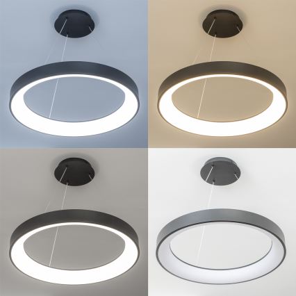 Brilagi - LED prigušiva luster na sajli FALCON II LED/99W/230V 3000-6500K prečnik 60 cm crna + daljinski upravljač