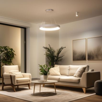 Brilagi - LED prigušiva viseći luster FALCON II LED/99W/230V 3000-6500K prečnik 60 cm beli + daljinski upravljač