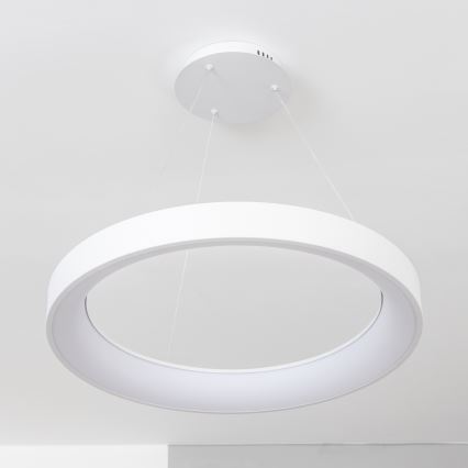 Brilagi - LED prigušiva viseći luster FALCON II LED/99W/230V 3000-6500K prečnik 60 cm beli + daljinski upravljač