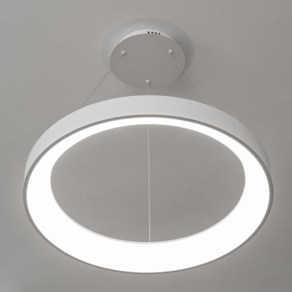 Brilagi - LED prigušiva viseći luster FALCON II LED/99W/230V 3000-6500K prečnik 60 cm beli + daljinski upravljač