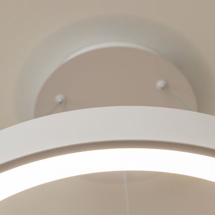 Brilagi - LED prigušiva viseći luster FALCON II LED/99W/230V 3000-6500K prečnik 60 cm beli + daljinski upravljač