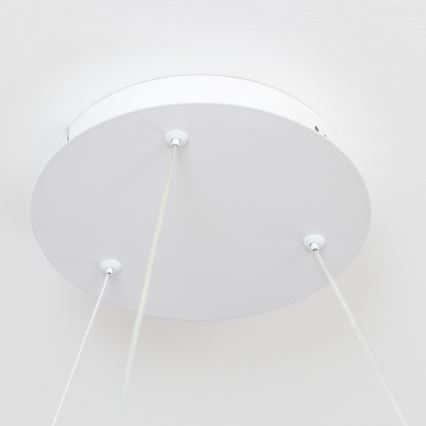 Brilagi - LED prigušiva viseći luster FALCON II LED/99W/230V 3000-6500K prečnik 60 cm beli + daljinski upravljač