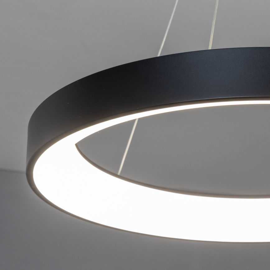 BRILAGI - LED prigušiva luster na sajli FALCON II LED/99W/230V 3000-6500K prečnik 60 cm crna + daljinski upravljač