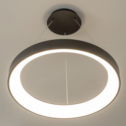 BRILAGI - LED prigušiva luster na sajli FALCON II LED/99W/230V 3000-6500K prečnik 60 cm crna + daljinski upravljač
