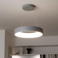 Brilagi - LED prigušiva luster na sajli FALCON LED/40W/230V 3000-6500K preč. 45 cm siva + daljinsko upravljanje