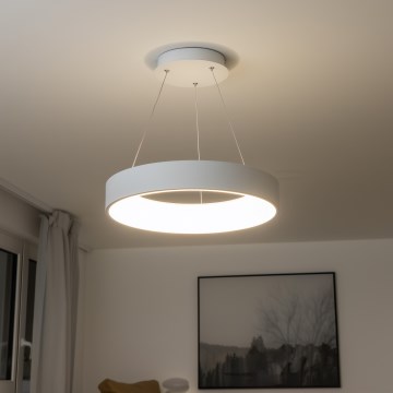 Brilagi - LED prigušiva luster na sajli FALCON LED/40W/230V 3000-6500K Ø 45 cm bela + daljinski upravljač