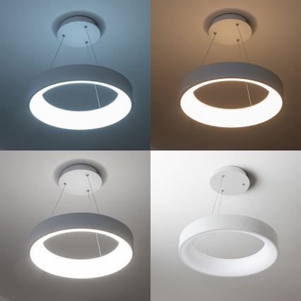 Brilagi - LED prigušiva luster na sajli FALCON LED/80W/230V 3000-6500K prečnik 60 cm bela + daljinski upravljač