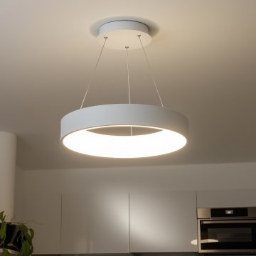 Brilagi - LED prigušiva luster na sajli FALCON LED/80W/230V 3000-6500K prečnik 60 cm bela + daljinski upravljač